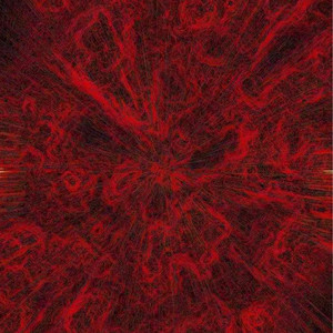 特肥女人一级黄色片
