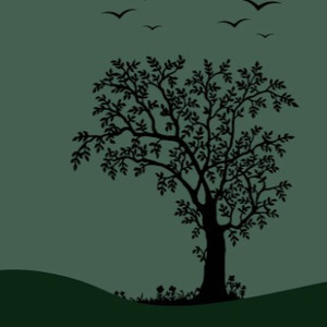 特肥女人一级黄色片
