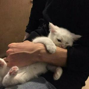 特肥女人一级黄色片
